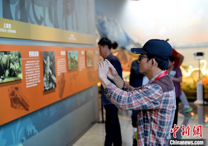 圖為臺(tái)商在祁連山國(guó)家公園生態(tài)科普館觀看墻面藝術(shù)圖文?！⊙Φ?攝