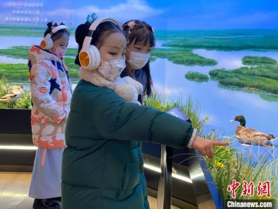 圖為學生在西寧市第一中學濕地科普宣教館內(nèi)參觀?！±罱瓕?攝