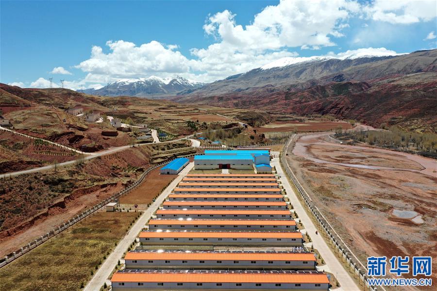 (決戰(zhàn)決勝脫貧攻堅(jiān)·圖文互動(dòng))(4)“阿旺綿羊”成就大產(chǎn)業(yè)——西藏貢覺縣做大做強(qiáng)扶貧產(chǎn)業(yè)見聞