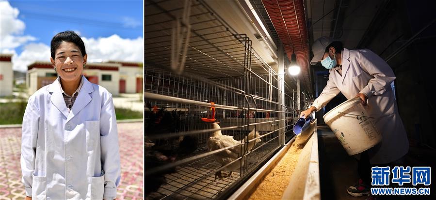 (脫貧攻堅(jiān)·圖片故事)(6)雪域高原脫貧影像志