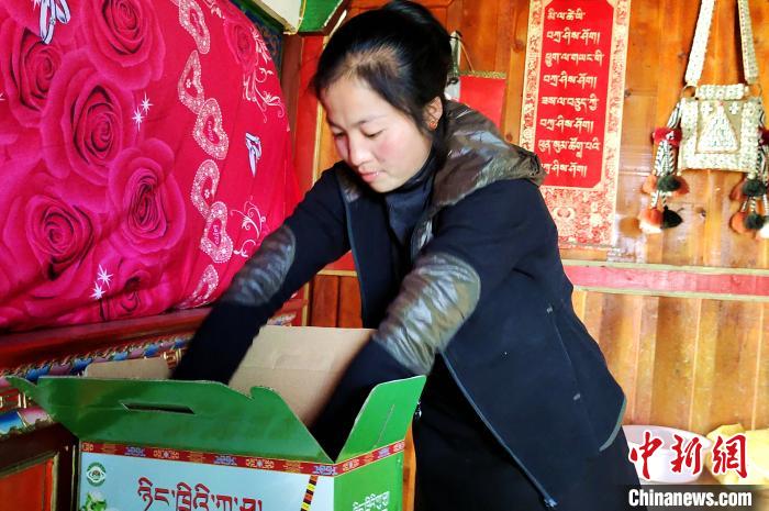 圖為通麥村村民巴桑拉姆把精心挑選的蘋果裝箱?！∝暽＠?攝