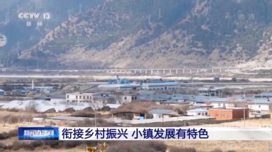 種蘑菇、養(yǎng)駱駝...。。特色產(chǎn)業(yè)助力鄉(xiāng)村振興走新路