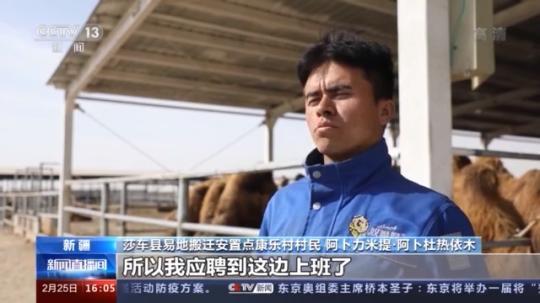 種蘑菇、養(yǎng)駱駝...。。特色產(chǎn)業(yè)助力鄉(xiāng)村振興走新路