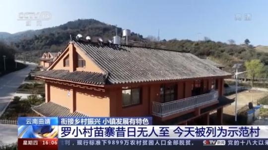 種蘑菇、養(yǎng)駱駝...。。特色產(chǎn)業(yè)助力鄉(xiāng)村振興走新路