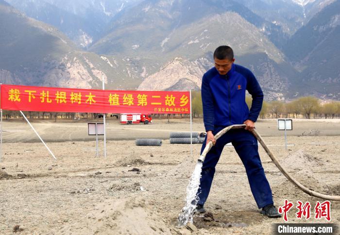 林芝市巴宜區(qū)森林消防中隊志愿服務隊澆水灌溉?！∥骼@拉翁 攝