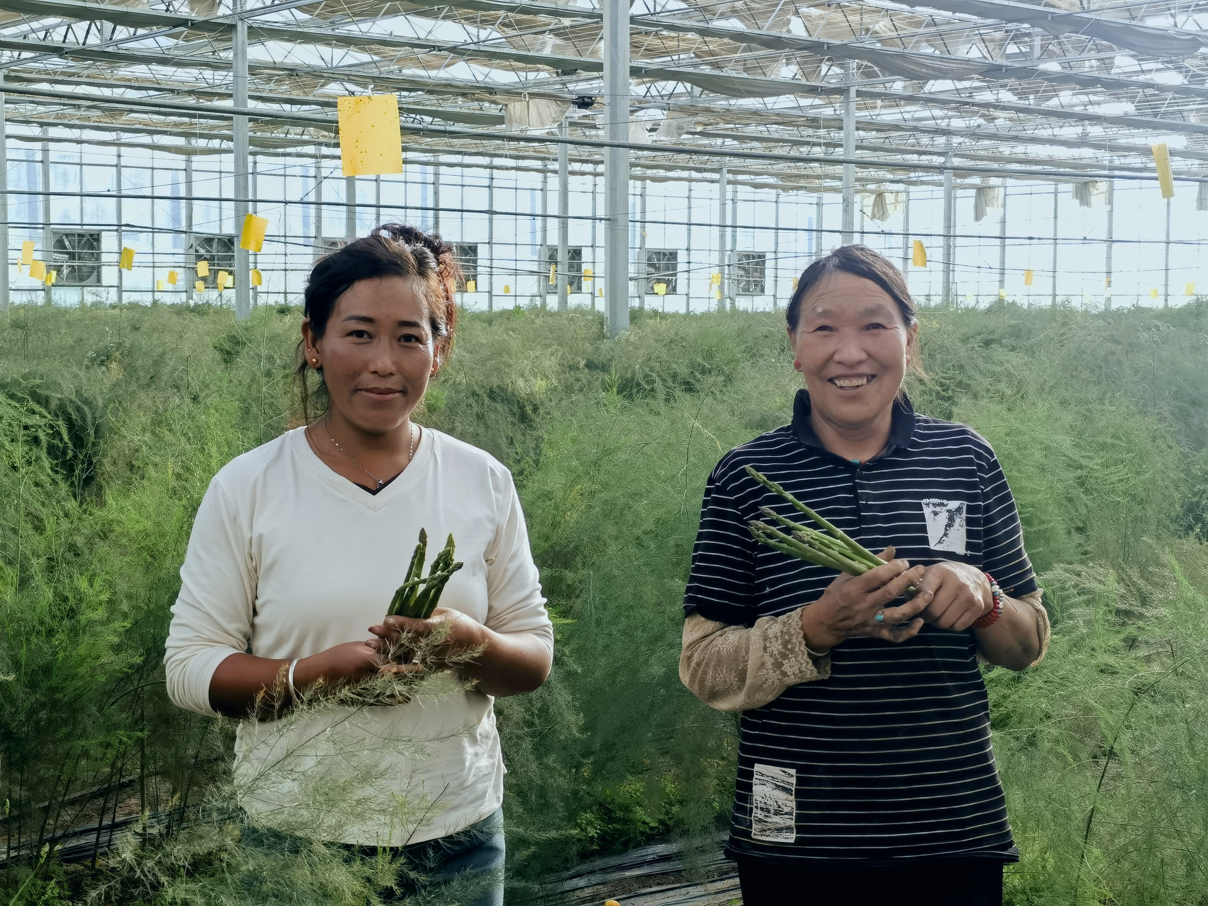 74537316316f8673ce0ca701d0c0cd2.jpg 74537316316f8673ce0ca701d0c0cd2.jpg