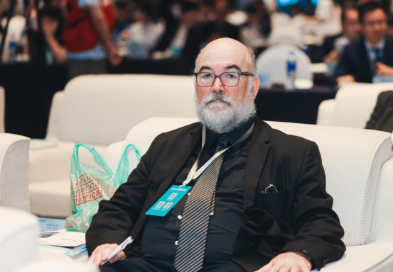 巴西專家:金磚合作是發(fā)展中國家在政治和經濟上進行協(xié)調合作的最佳方案