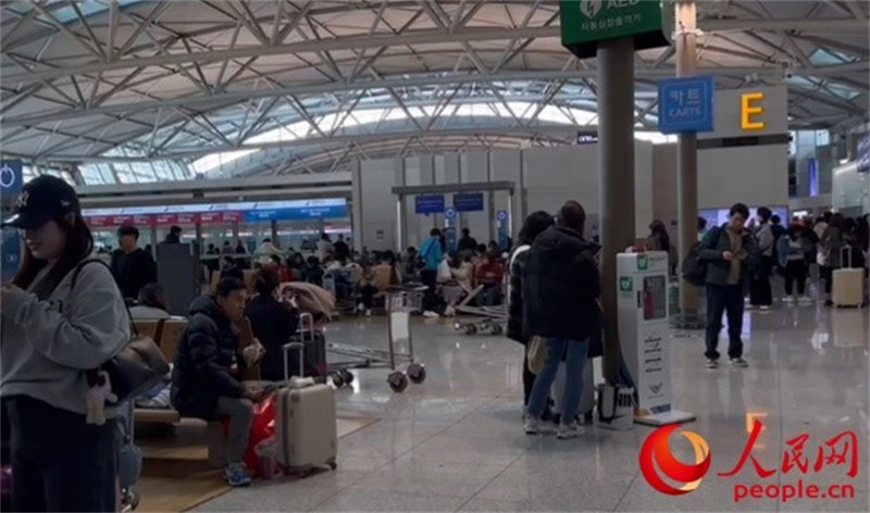 11月29日，繁忙的仁川機場。人民網(wǎng) 李帆攝
