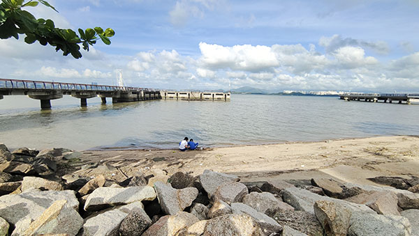 深圳紅樹林灘涂，留給了孩子們親近自然的空間。人民網(wǎng)記者 李彤攝