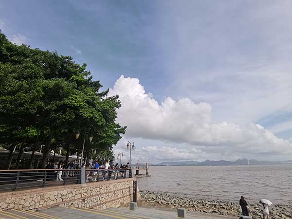 紅樹林灘涂沿線一角。人民網(wǎng)記者 張素玲攝