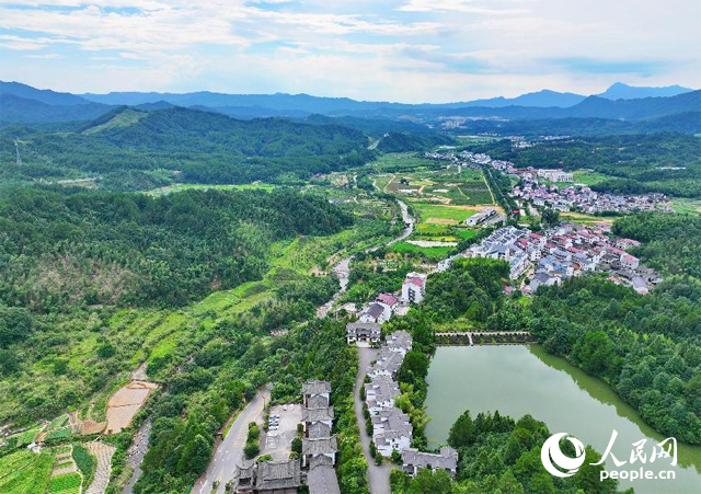 資溪縣森林資源豐富，森林覆蓋率達87.7%，有林地資源168萬畝。人民網 朱海鵬攝