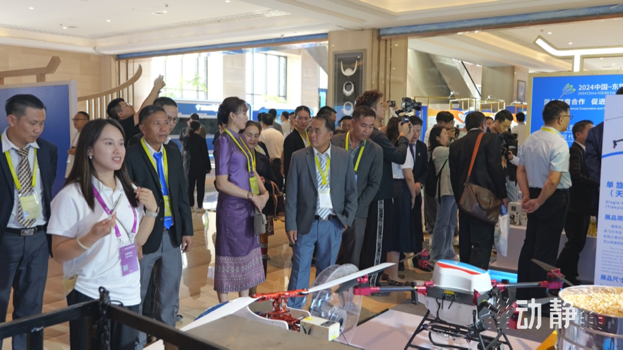 展示成果分享經(jīng)驗，中國—東盟教育交流周深化合作共創(chuàng)未來！