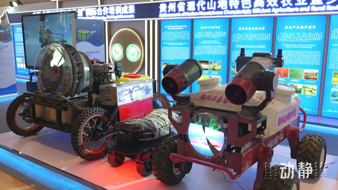 展示成果分享經(jīng)驗，中國—東盟教育交流周深化合作共創(chuàng)未來！