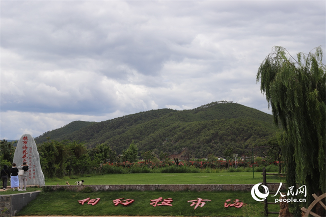 麗江市拉市海景區(qū)。 人民網(wǎng)記者 程浩攝