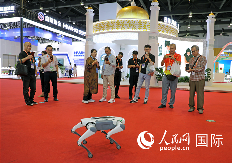 東博會(huì)上，觀眾正在參觀一只機(jī)器狗。綠色能源、新能源汽車、綠色農(nóng)產(chǎn)品等成為本屆東博會(huì)觀眾關(guān)注的焦點(diǎn)。人民網(wǎng)記者 趙益普攝