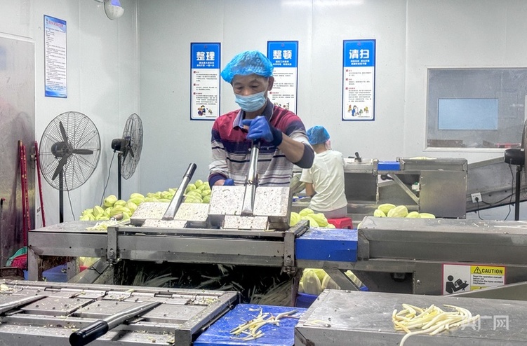 高質(zhì)量發(fā)展看中國 | 廣西:三產(chǎn)融合“潤澤”鄉(xiāng)村沃土 讓農(nóng)民腰包越來越鼓