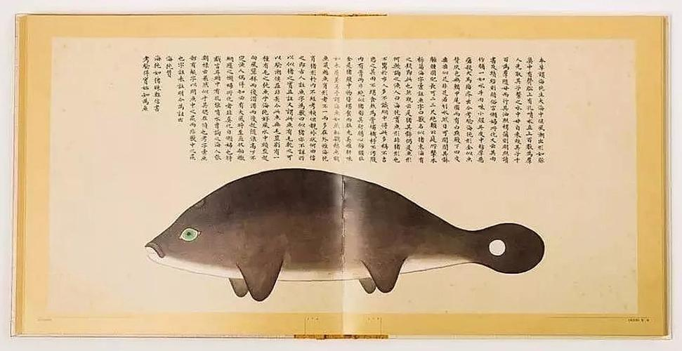 文化中國行 長江之歌丨微笑的江豚，從四千年前“游”來