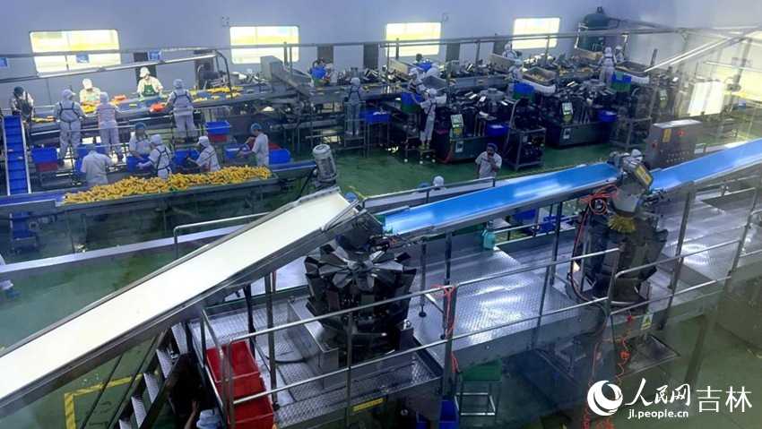 吉林省農嫂食品有限公司生產車間內一片火熱。人民網記者 王海躍攝