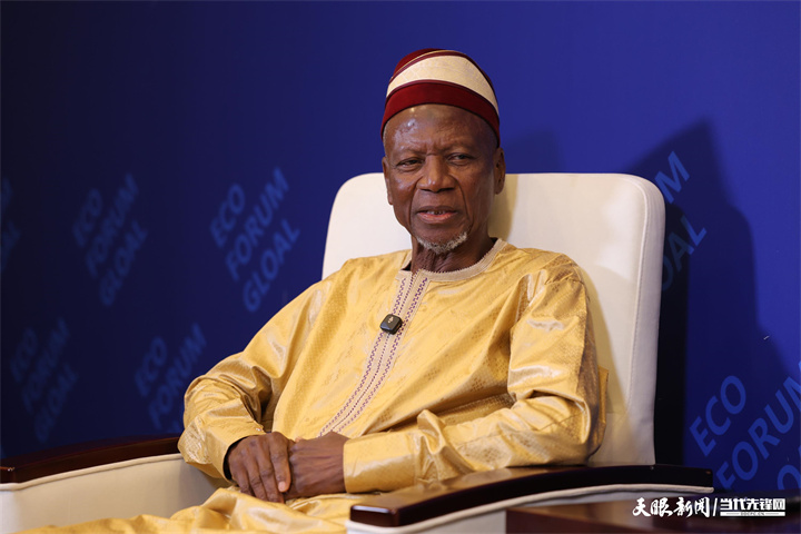 幾內(nèi)亞全國過渡委員會第二副主席 塞尼·法西內(nèi)·西拉.jpg