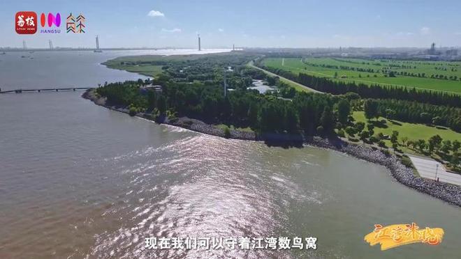 “縣”在起筆 青綠繪江山 | 江灣沐曉：褪去“銹色”走“金線”，繡出生態(tài)與產(chǎn)業(yè)“雙面錦”