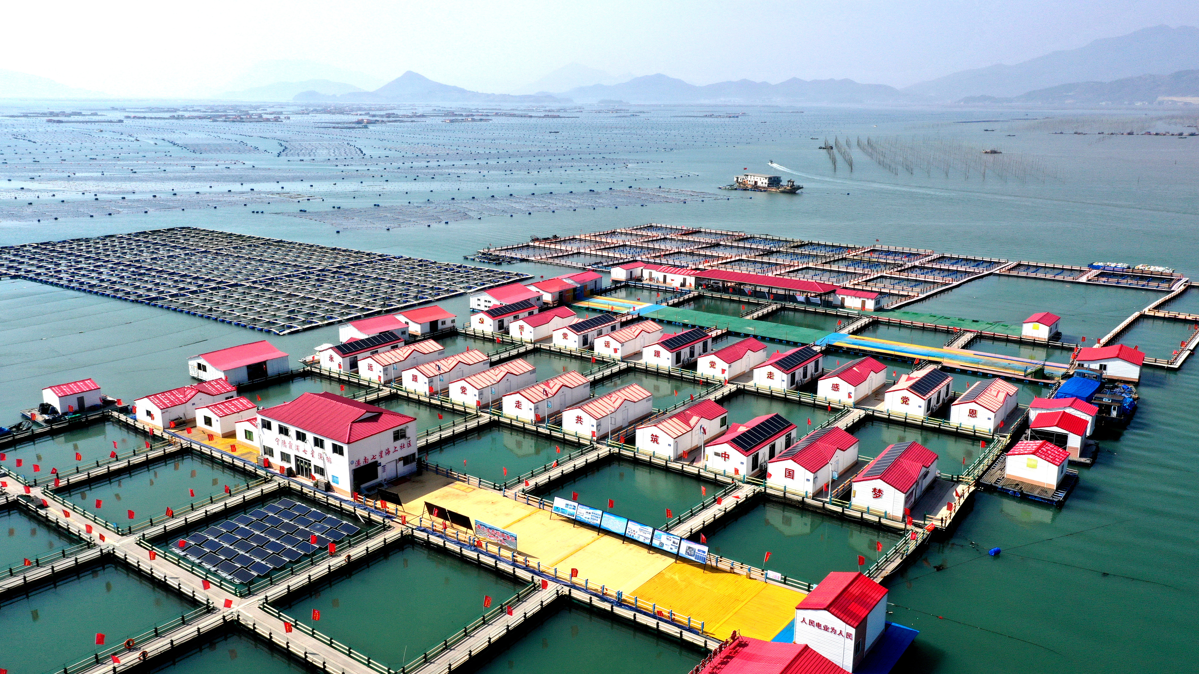 2024年3月20日，福建省寧德市，霞浦縣溪南鎮(zhèn)七星村漁排養(yǎng)殖示范區(qū)，漁民駕駛養(yǎng)殖船進行海參養(yǎng)殖作業(yè)。