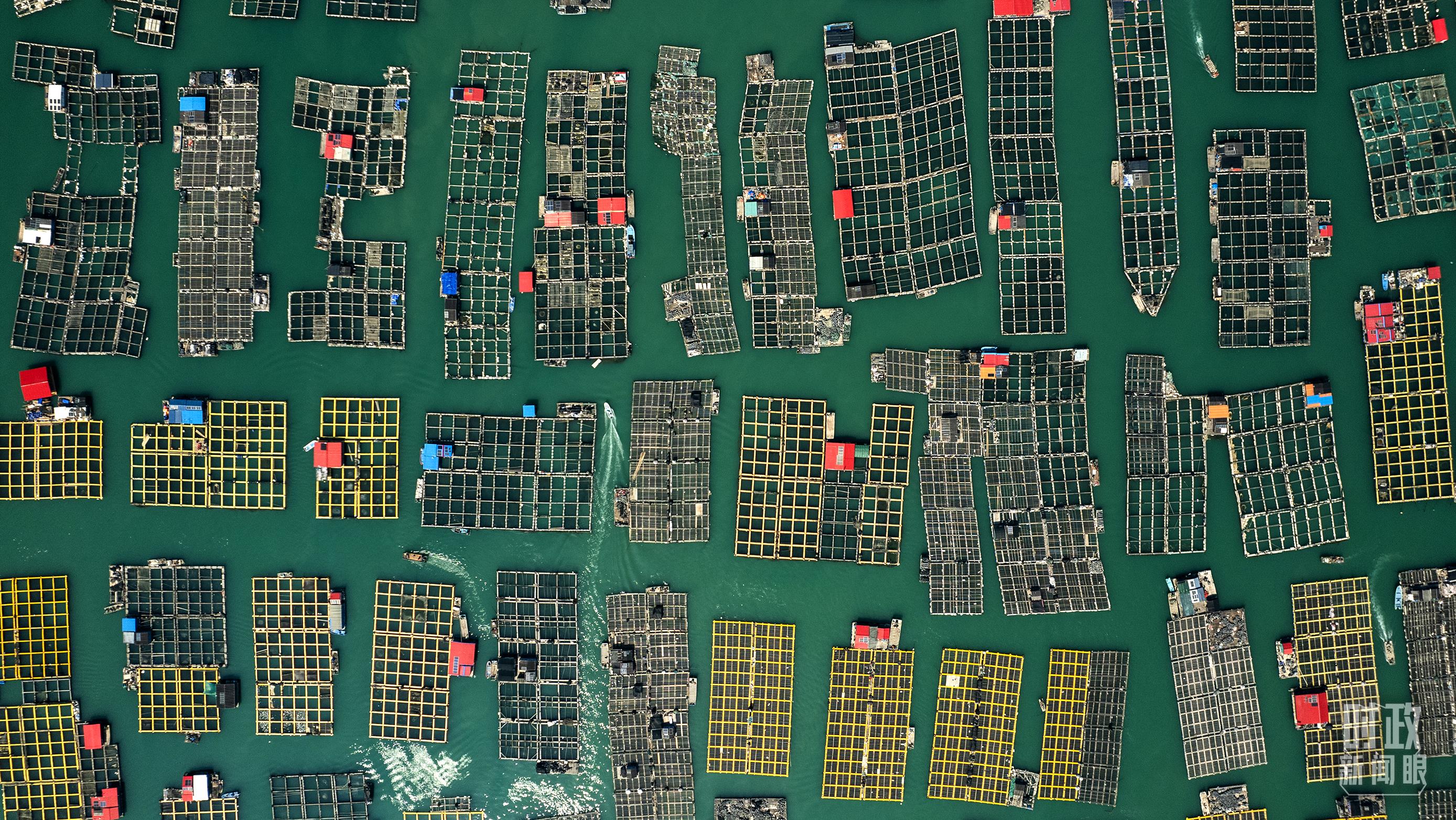 △澳角村。（總臺記者李晉拍攝）