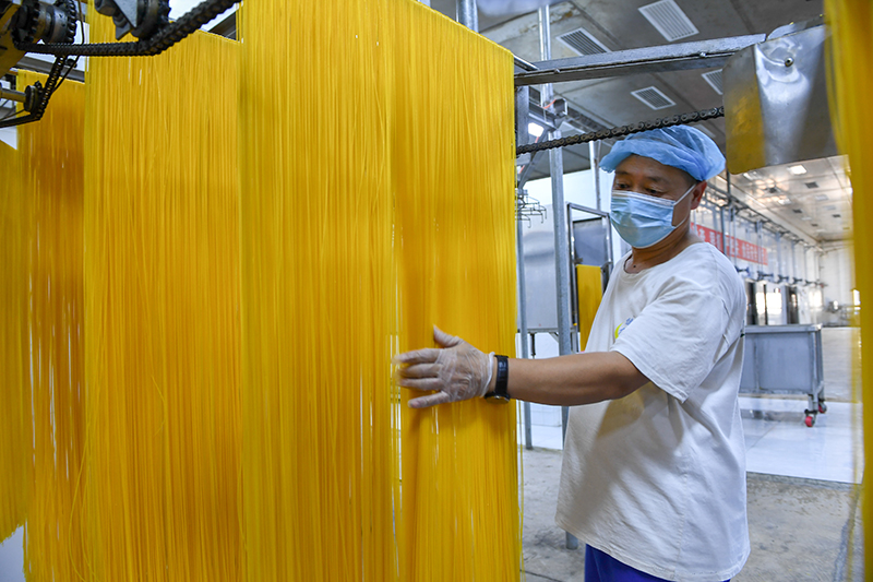 2024年1月25日，在吉林省公主嶺市的一家公司車間，工人查看玉米面條生產情況。