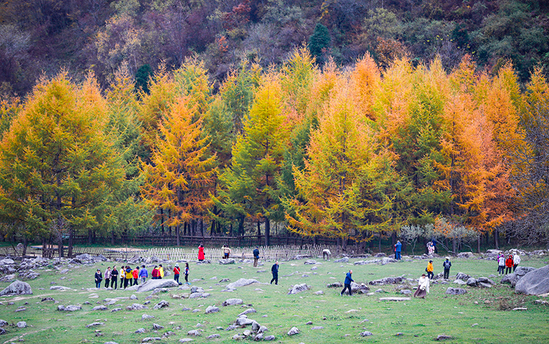 2023年10月27日，深秋時(shí)節(jié)的陜西秦嶺太子嶺漫山紅黃、色彩交織，進(jìn)入最佳觀賞期。