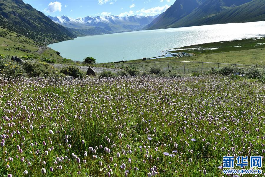 (新華視界)(1)嘉乃玉錯(cuò)的悠閑時(shí)光