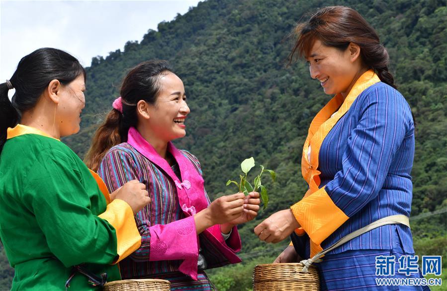 (新華視界)(2)茶香墨脫