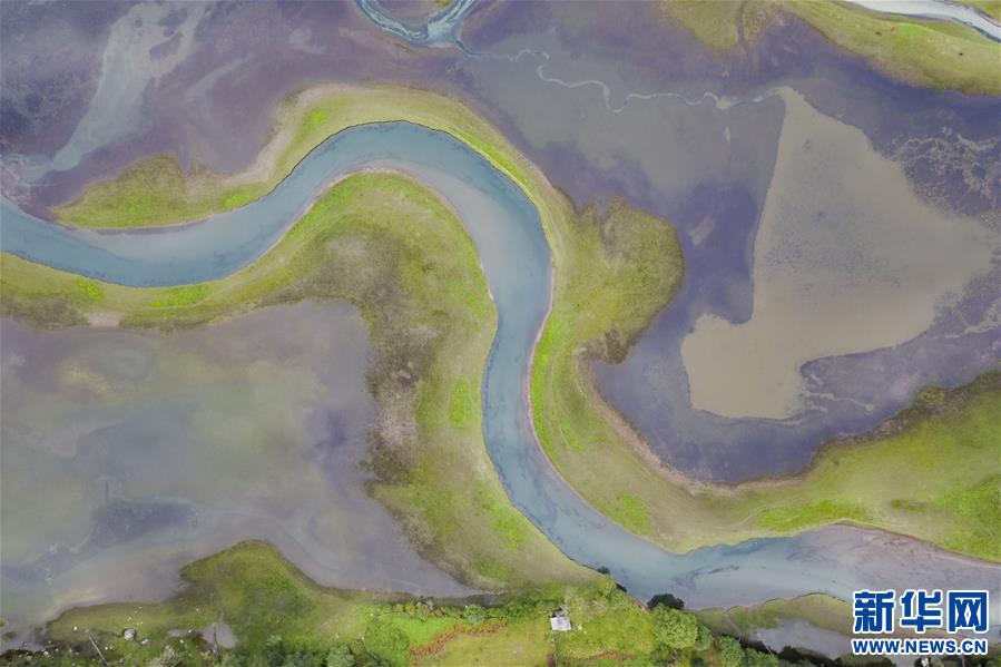 (新華視界)(5)隱秘的高原草湖