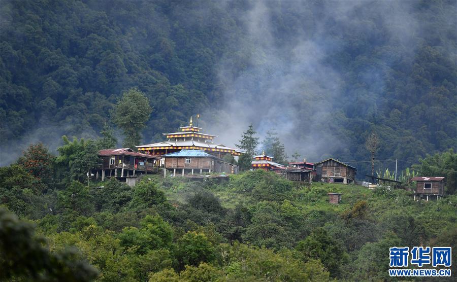 (新華視界)(4)綠色墨脫