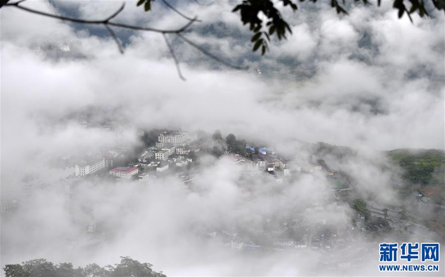 (新華視界)(8)綠色墨脫