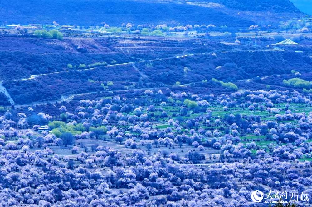 遠眺“桃花村”。人民網(wǎng) 李海霞攝