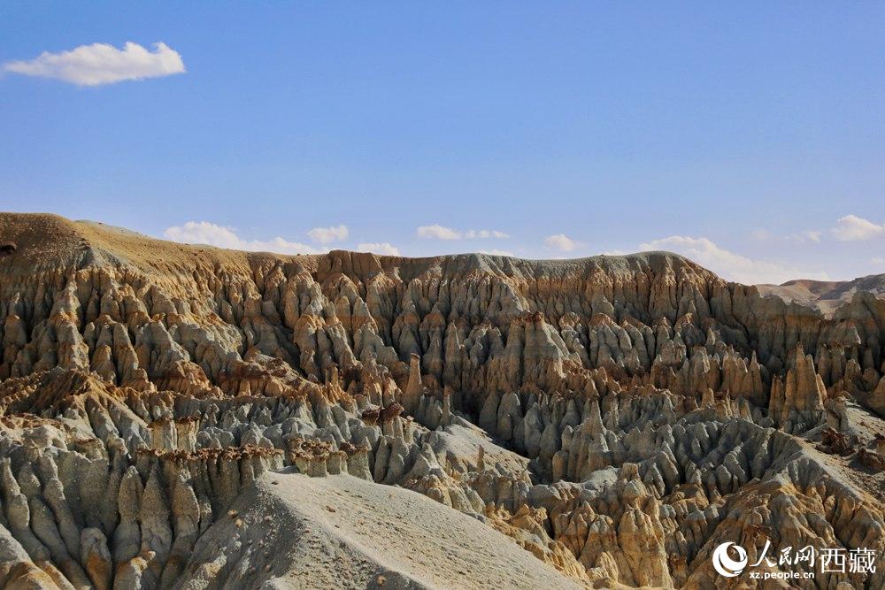 多姿多彩的土林。人民網(wǎng) 李海霞攝