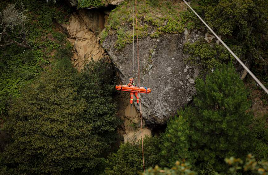 叢林中的橙色身影。西繞拉翁攝