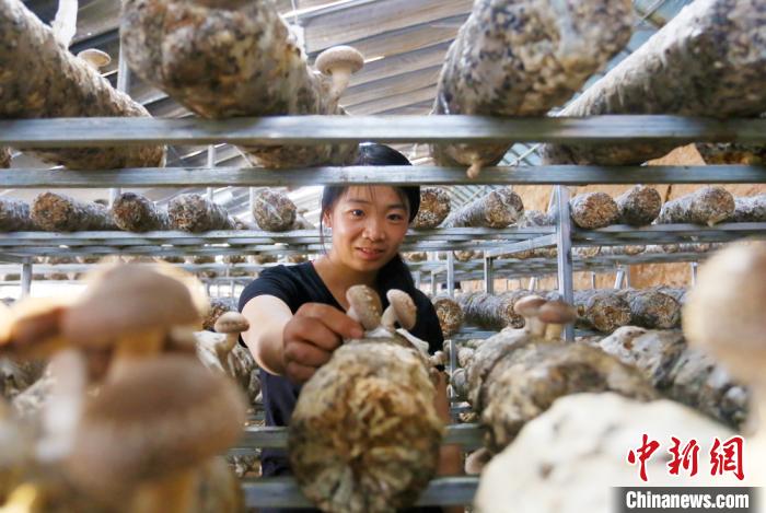 甘肅天?！跋愎椒蚱蕖毕律饺氪ǎ捍笈锢镉板X(qián)景”