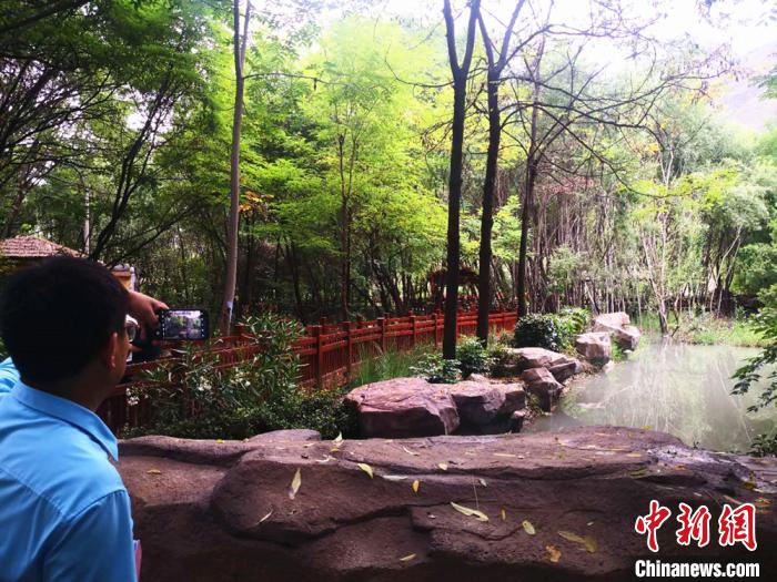 甘肅舟曲葡萄產業(yè)成景似“江南水鄉(xiāng)”興庭院經濟鋪致富路