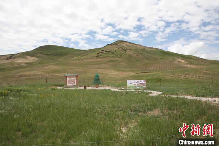 四川省阿壩州若爾蓋縣草原沙化治理后。若爾蓋縣林業(yè)和草原局供圖