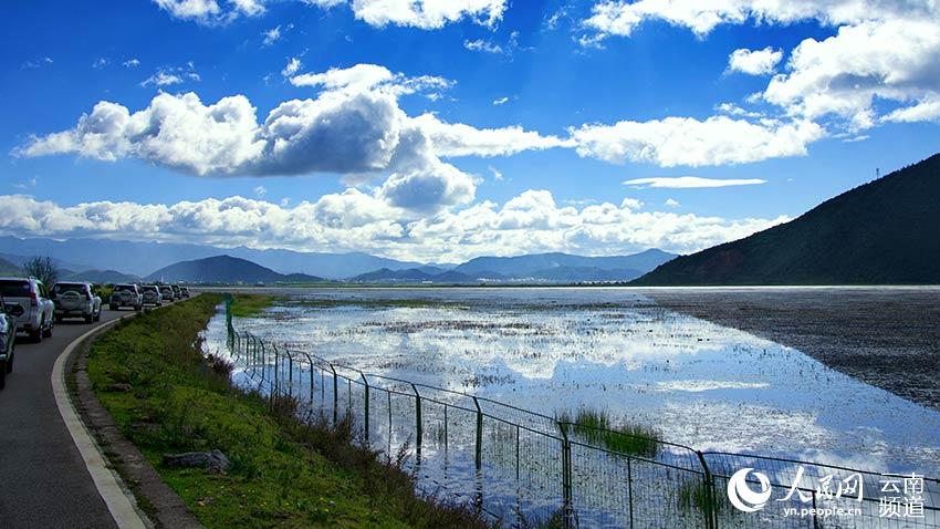 納帕海濕地。呂昊辰攝