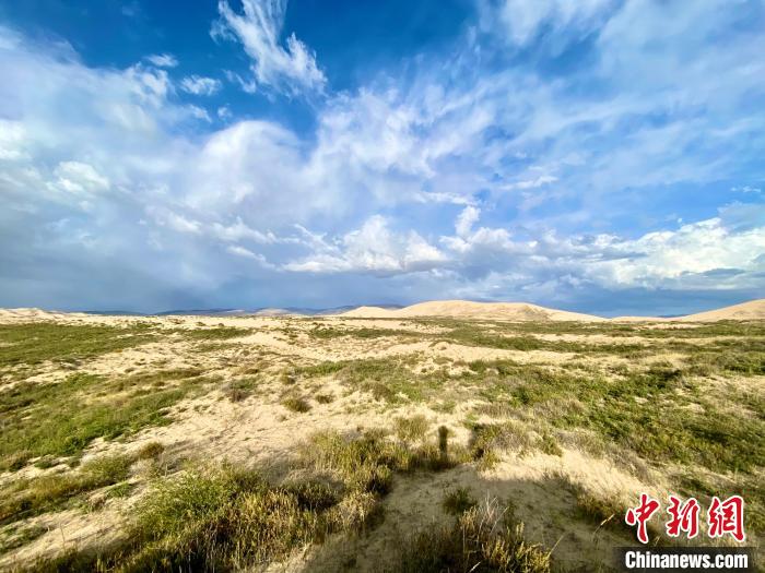 圖為關(guān)停四年后的沙島景區(qū)現(xiàn)狀?！±罱瓕?攝