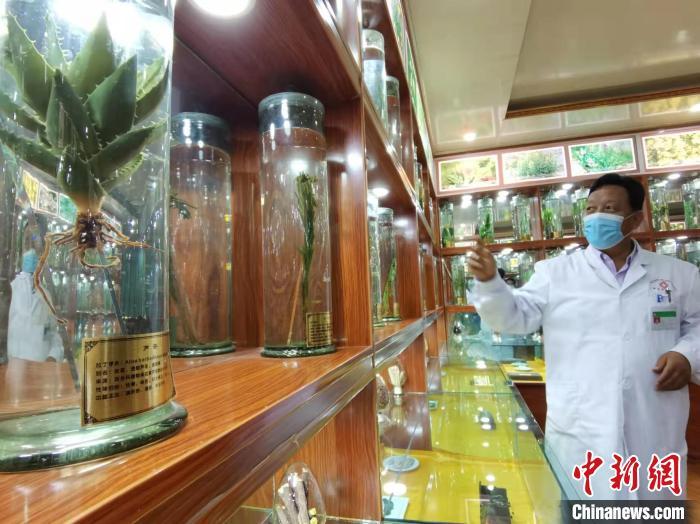 甘肅省甘南藏族自治州碌曲縣藏醫(yī)院副院長看照加近30年的從醫(yī)工作，堅持中藏醫(yī)特色優(yōu)勢相結(jié)合診療方法?！堟?攝