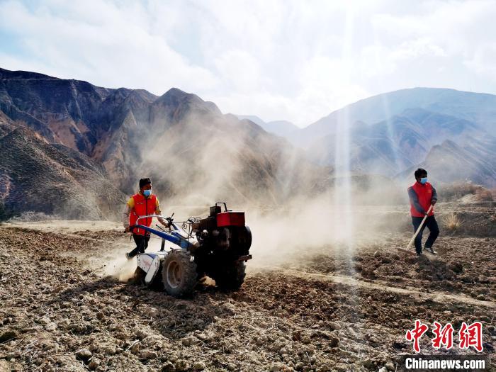 圖為拖拉機(jī)在山地犁地。　張?zhí)砀?攝