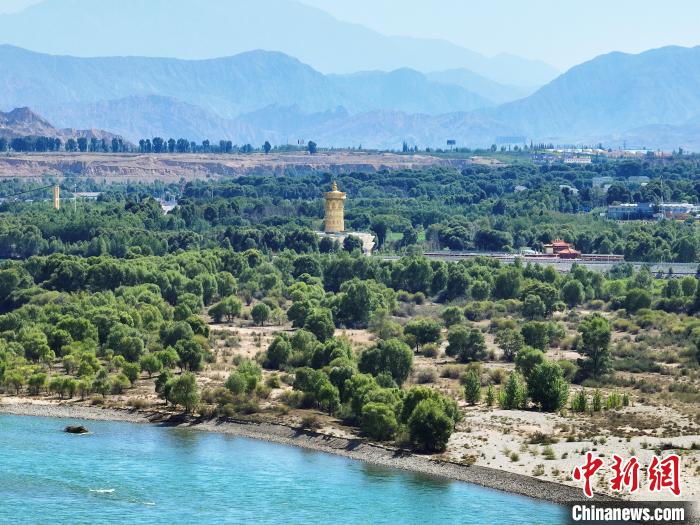 航拍貴德縣黃河岸畔綠意盎然?！●R銘言 攝