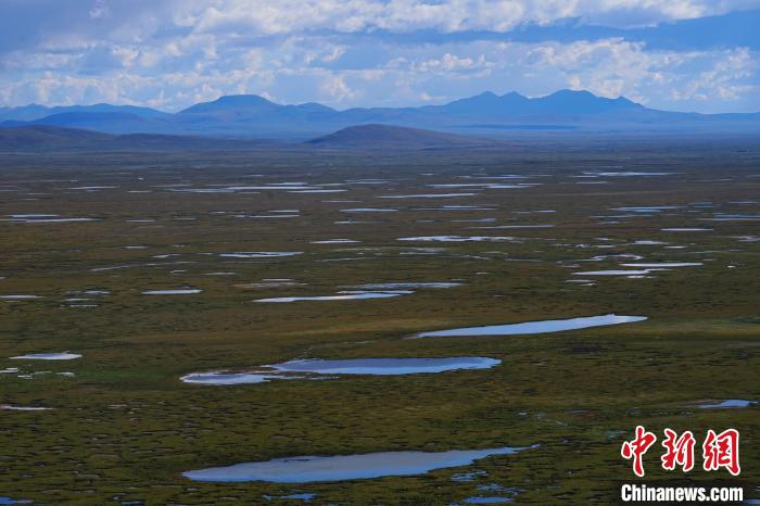 圖為查旦濕地。　馬銘言 攝