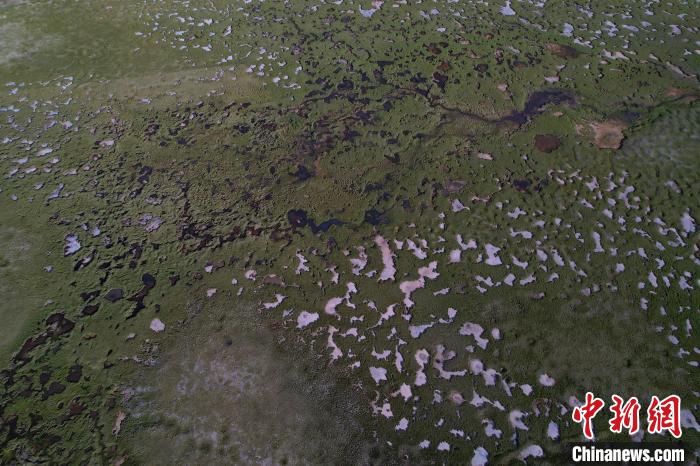 航拍查旦濕地?！●R銘言 攝