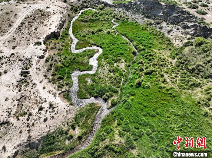 圖為航拍都蘭湖國家濕地公園綠意盎然?！∑钤鲚?攝