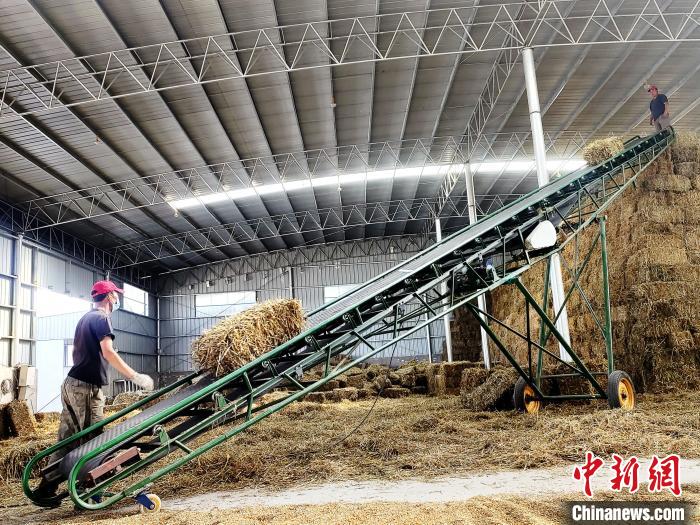 圖為飼草打捆、儲存?！●R芝芬 攝
