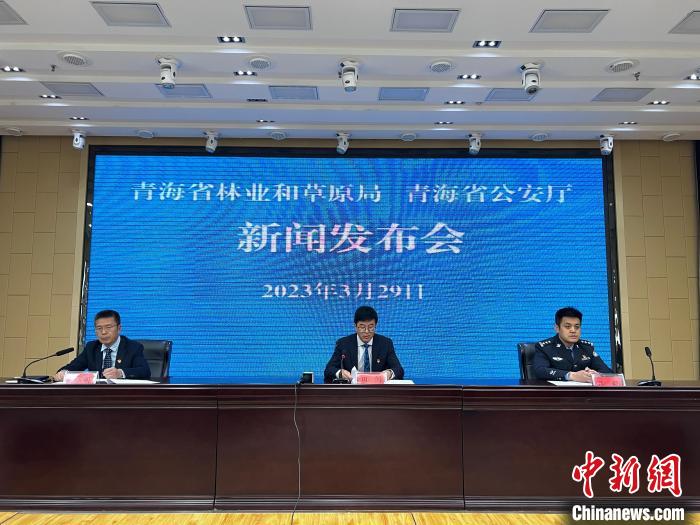 青海去年占用林地、草地準(zhǔn)予許可件同比實現(xiàn)“雙減”