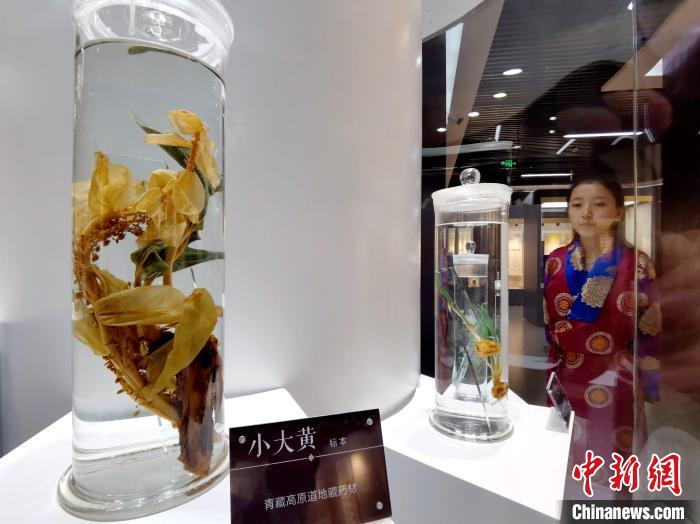 青海中藏醫(yī)藥發(fā)展提速：建設(shè)一批重點(diǎn)?？茖W(xué)科，推廣一批適宜技術(shù)